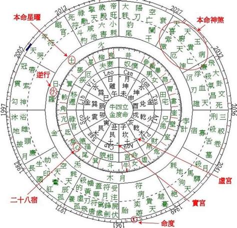 大吉星|紫微斗数排盘